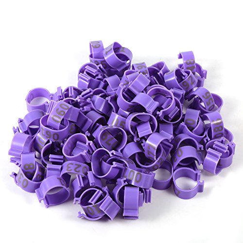 Wnvivi 100Pcs Chicken Leg Bands Rings,16MM 001-100 Numbered Plastic Poultry Ankle Bands,Assorted Colors Poultry Feet Rings for Chicken Duck Goose(Purple) - color: Purple