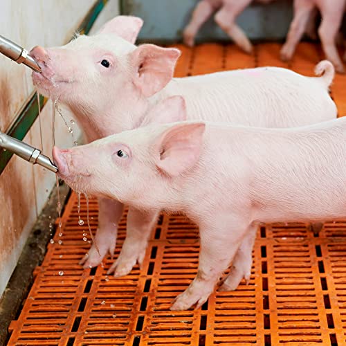 MECCANIXITY Pig Nipple Waterer 2Pcs Automatic Pig Feeder 1/2" PT Poultry Water Nipple Pig Drinker Stainless Steel Copper Hat Duck-Mouth Type for Sows Drinking, Silver