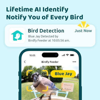 NETVUE by Birdfy AI Smart Bird Feeder with Camera, AI Auto Capture Each Bird Visit & Identify 6000+ Species, Cloud Store & Live Birdwatching, Ideal Gift (Yellow) - color: Yellow, style: AI