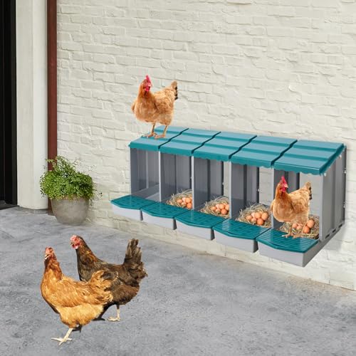 Chicken Nesting Boxes, 5 Compartment Nesting Boxes for Laying Eggs, Roll Away Nesting Box Egg Collection Tray, Wall Mount Poultry Roll Away Chicken Laying Boxes (Green) - color: 5 Compartment Nesting Boxes (Green)