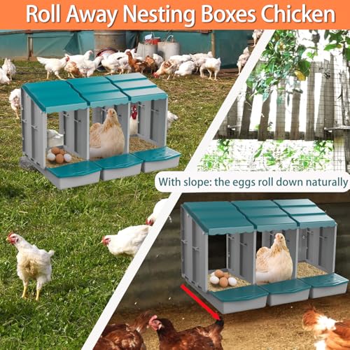 Nesting Boxes for Chickens, Roll Away Chicken Nesting Boxes with Egg Collection for Easy Picking & Protecting Eggs, 6-Compartment Chicken Laying Boxes for Hens, Easy to Clean & Install - size: 6 Compartments