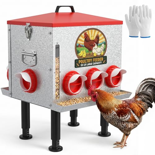 55LB Large Capacity Automatic Chicken Feeder with Window, 8 Feeding Ports Galvanized Steel No-Waste Raised Chicken Feeder with Lid & Height Adjustable Stand, Automatic Gravity Fed for Hens, Roosters