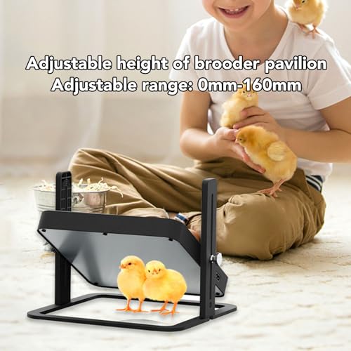 Chick Heating Plate Brooder Heater with Temperature Control – Safe, Energy-Efficient, Flat- Brooding Plate for Chicks, Ducklings & Poults – Compatible with Chicken Coops & Barns