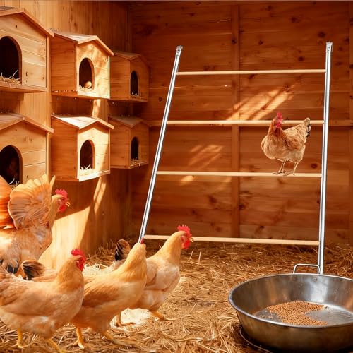 Chicken Perch for Coop, 41" W x 55" L, Chicken Roosting Bars, Toys Roost Ladder for Backyard Poultry, Funny Chicken Coop Accessories - size: 41.5"L x 1.5"W x 56.0"H, style: Perch Only