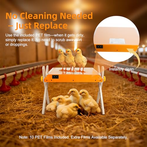 Chicken Coop Heater, Briidea 80W Chicken Heater with 110–130℉ Constant Heat, Energy-Efficient, Adjustable Height & Angle, 10 PET Cleaning Film, Mother-Hen-Like Comfort, 10" x 10" for 15 Small Poultry - color: Cross support