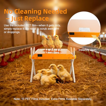 Chicken Coop Heater, Briidea 80W Chicken Heater with 110–130℉ Constant Heat, Energy-Efficient, Adjustable Height & Angle, 10 PET Cleaning Film, Mother-Hen-Like Comfort, 10" x 10" for 15 Small Poultry - color: Cross support