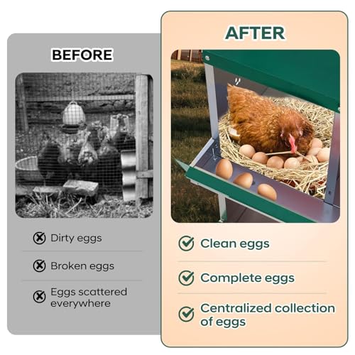 Roll Away & Ventilated Design - Metal Chicken Nesting Box for Small Animals - 10 Compartments, Galvanized Rustproof, Wall-Mounted, Easy Egg Collection, Ideal Coop Accessory - Green, 10 - color: Green