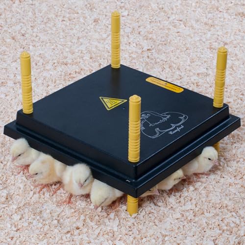 Hatching Time Heating Plate for Chicks 12"x12" – Gentle Low-Wattage Brooder Plate for 20–25 Chicks with Adjustable Height – Steady Radiant Warmth Heat Plate for Chicks in Brooders - size: 12'"x12" for 20-25 chicks