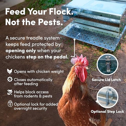 RentACoop 40 lb Automatic Treadle Chicken Feeder, Metal Rat Resistant Poultry Feeder, Rainproof No Waste Step-On Feeder for Chickens, Bantams, Ducks, Pheasants, Outdoor Covered Feed Bin - style: 40LB Treadle Feeder