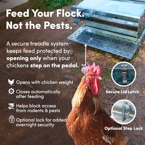 RentACoop 25 lb Automatic Treadle Chicken Feeder, Metal Rat Resistant Poultry Feeder, Rainproof No Waste Step-On Feeder for Chickens, Bantams, Ducks, Pheasants, Outdoor Covered Feed Bin - style: 25LB Treadle Feeder
