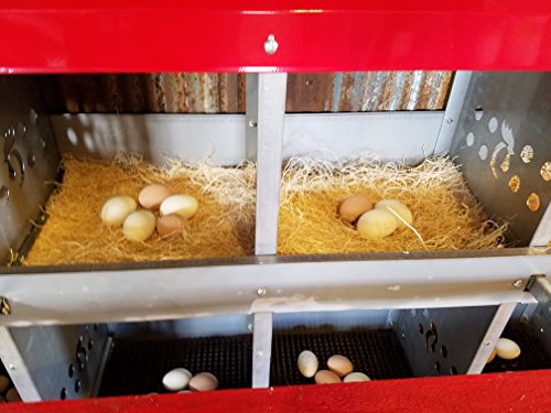 Duncan's Chicken Nesting Boxes - 8 Hole Metal Poultry Nest Box Wall Mount for Chickens, Hens, Ducks - Easy Egg Collection - Large Vented Holes - Fold Up Perches