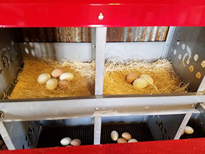 Duncan's Chicken Nesting Boxes - 8 Hole Metal Poultry Nest Box Wall Mount for Chickens, Hens, Ducks - Easy Egg Collection - Large Vented Holes - Fold Up Perches