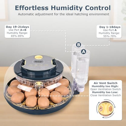 Incubators for Hatching Eggs, 18 Eggs Incubator with Egg Candler, Auto Egg Turner, Temp & Humidity Control, Hatch Day, Auto Water Refill, 2 Size Egg Tray, 360° Viewing for Chicken, Duck, Quail - size: 18 Chicken Eggs