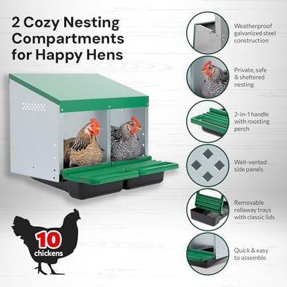 Homestead Essentials Classic Style 2 Compartment, Forward Rollout and Rollaway, Hen & Chicken Nesting Box with Integrated Perch and Protective Egg Laying Collection Lids - size: 2 Compartment