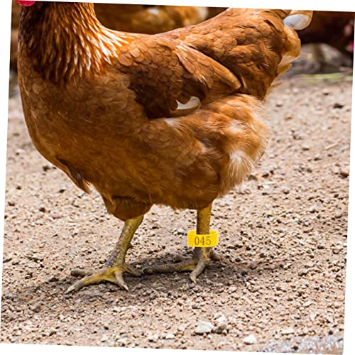 Kisangel 100pcs Adjustable Chicken Leg Bands Numbered Poultry Identification Rings for Easy Chick and Bird Identification Lightweight and Safe Material for Pigeons and Poultry Use - color: Yellow