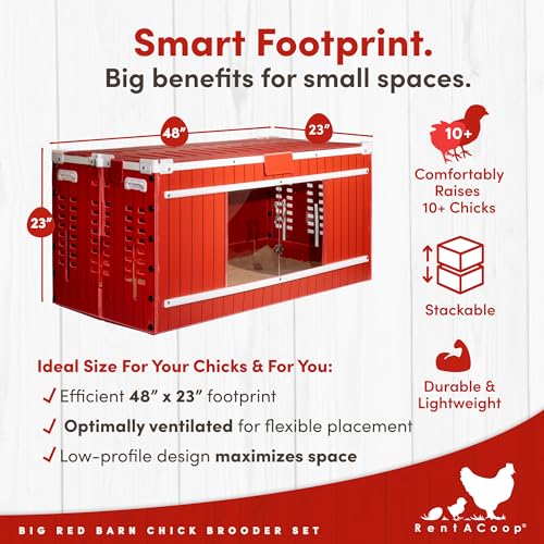 RentACoop Big Red Barn Chick Brooder Set with Heating Plate and Anti-Roost Cone, Two Chick Feeders, Two Chick Drinkers, Swing, Hatchling Liners, Jute Liner, LED Light, Security Latch