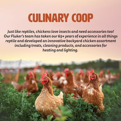 Fluker's Culinary Coop Brooder Lamp for Chicken Coop or Outdoor Animals, 10-Inch