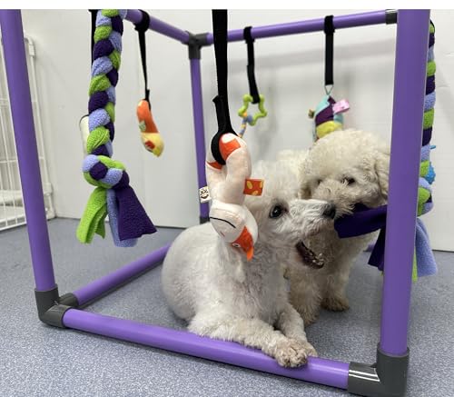 DOZZOPET Puppy Play Gym for Small Dogs with 8 Hanging Toys, Jungle Playground with Interactive Funny Enrichment Toys to Keep Them Busy