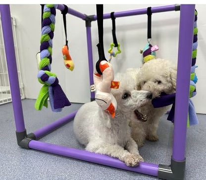 DOZZOPET Puppy Play Gym for Small Dogs with 8 Hanging Toys, Jungle Playground with Interactive Funny Enrichment Toys to Keep Them Busy