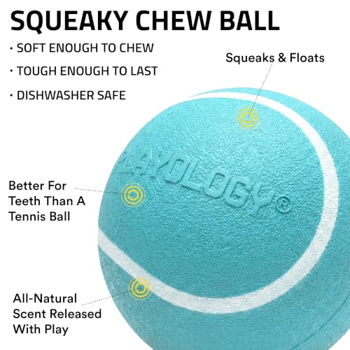 Playology Dog Toys | Squeaky Chew Ball for Dogs, Value 2-Pack | Peanut Butter Scented Medium Dog Balls | Bouncy Floating Chew Toys for Fetch - size: Medium (VALUE 2-Pack), style: Peanut Butter