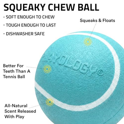 Playology Dog Toys | Squeaky Chew Ball for Dogs, Value 2-Pack | Peanut Butter Scented Medium Dog Balls | Bouncy Floating Chew Toys for Fetch - size: Medium (VALUE 2-Pack), style: Peanut Butter