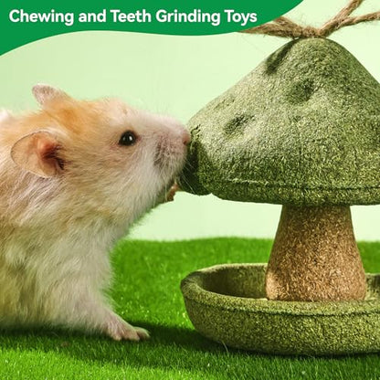 2 Pack Guinea Pig Chew Toys, Prevent Teeth Overgrowth, Rabbit Chew Toys, Natural Treats for Rabbit/Hamster Toys, Natural Timothy Grass & Vegetables, Small Animal Toys for Habitat Decoration
