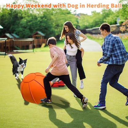 Herding Ball for Dogs, Large Dog Training, Jolly Ball for Australian Shepherd and Collie 25 inch (Orange)