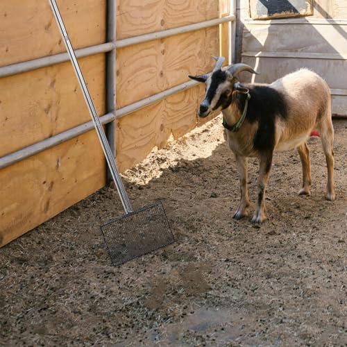 TIDTALEO Livestock Manure Scoop with Long Handle and Wide Metal Litter Sifter for Chicken Coop and Animal Pen Cleaning, Sturdy Farm Waste Shovel for Poultry, Goat, Cattle, and Sheep