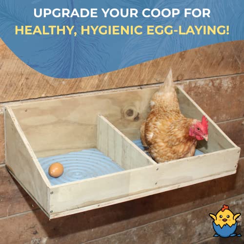 Lil'Clucker Chicken Water Cups and Nesting Set Blue – 5pc Blue Large Automatic Chicken Water Cups, Chicken Water Feeder | 4 Washable Gray Chicken Nesting Pads for Laying Eggs, Durable Chicken Bedding