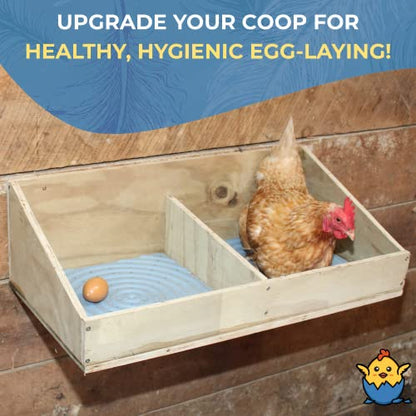 Lil'Clucker Chicken Water Cups and Nesting Set Blue – 5pc Blue Large Automatic Chicken Water Cups, Chicken Water Feeder | 4 Washable Gray Chicken Nesting Pads for Laying Eggs, Durable Chicken Bedding