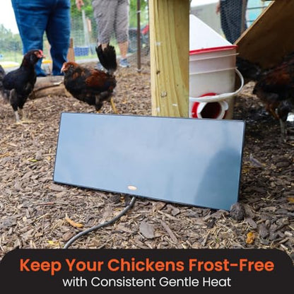Cozy Products Cozy Coop, Chicken Coop Heater, Flat-Panel Radiant Heater with Thermal Protector, Energy-Efficient, Easy to Install, Ideal for Small Animals, 200 Watts, Black