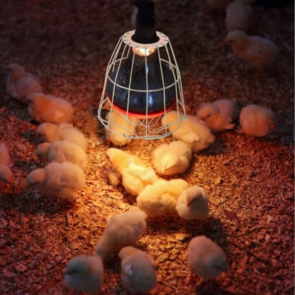 NUOBESTY Vintage Industrial Lamp Bulb Guard Wire Cage Protective Shade for E27 Bulbs Ceiling Light Pendant Lamp Cover 7.24X5.90X5.90In