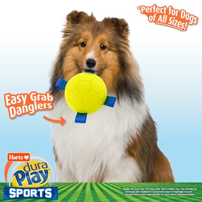 Hartz Dura Play Sports Soccer Dog Toy, Bacon Scented Squeaky Latex Yellow & Blue Toy, 1 Count - size: 1 Count, style: Soccer Ball