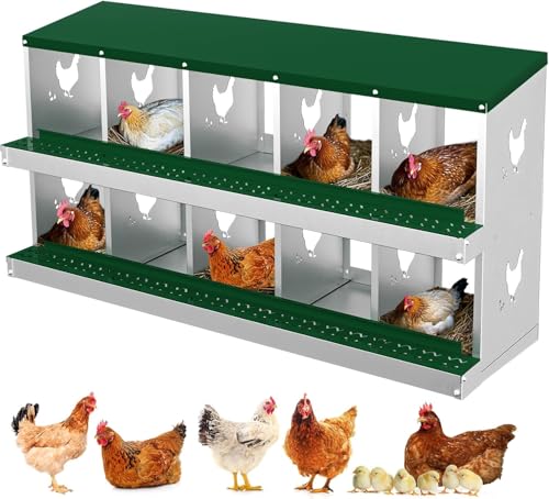 TrailBlaze Metal Chicken Nesting Boxes, Chicken Egg Laying Box with 10 Compartments, Large Vented Holes Chicken Coop with Rollout Egg Collection, Wall Mount Coops for Chickens, Hens (Green) - color: Green, size: 10 Holes