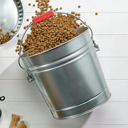 6 Gallon Galvanized Steel Storage Can with Locking Lid Rodent Proof Weather Resistant Metal Container for Pet Food Bird Seed Charcoal