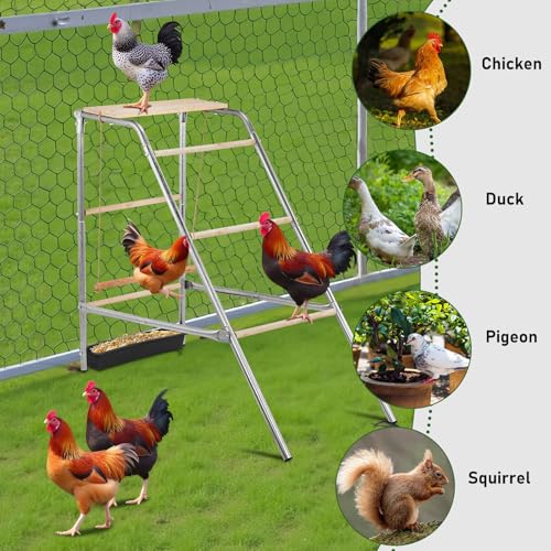 Square Chicken Roosting Perch, Perfect for Backyard Poultry, Chickens Perch for Coop, Easy to Assemble&Clean, Farm Chicken Toys - color: Silver M