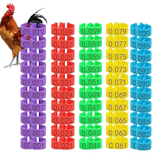 Leg Bands for Poultry – Chicken Clip, Duck Ring | Adjustable Bird Marker, Numbered Tag System, Reusable Identification Loop with Hatchery Sorting Scenario for and Fowl Management Featuring Mixed - color: 100pcs