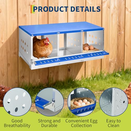 Chicken Nesting Box, 3 Compartment Nesting Boxes for Chickens, Durable Galvanized Steel, Ventilated with Dot Holes, Non-Slip, Wall Mountable Nesting Boxes for Chicken, Partitioned Design, Blue - size: 3 Compartment