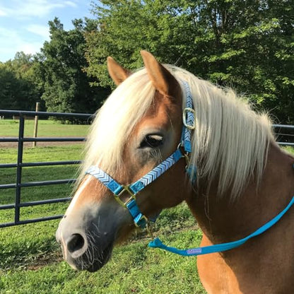 Tahoe Tack Patterned Nylon Adjustable Horse Halters with Padded Noseband and Matching 10’ Soft Grip Lead Rope with one Year Warranty - color: Blue Chevron and Hurricane Blue