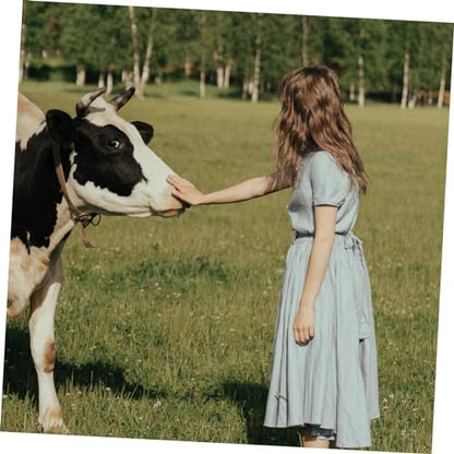 Farm Animal Grooming Brush Livestock Scratch Relief Tool Metal Itching Rake Cattle Sheep Grooming Tool Poultry Cleaning Rake