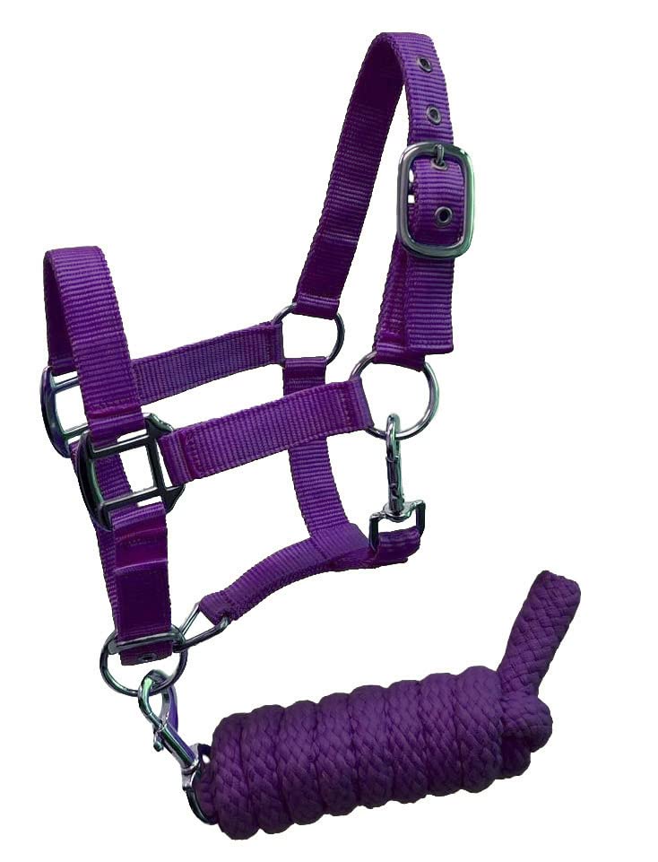 Pony Size Nylon Halter with Removalbe 7' Lead (Purple) - color: Purple