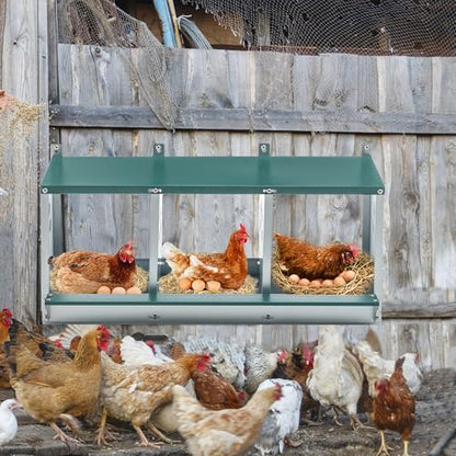 Chicken Nesting Box – 3/4/6/8-Room Metal Poultry Laying Box with Rollaway Egg Collection, Wall-Mounted Or Freestanding, Easy Assembly, Green(3 Holes)