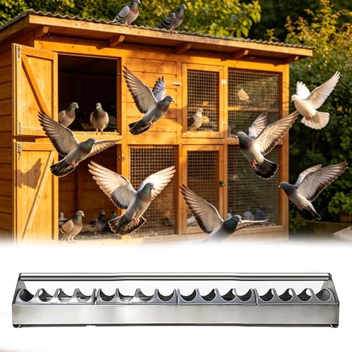 Stainless Steel Pigeon Feeder for Mealworms, Brid Feeder with Separated Fence & Crossbar, Anti-rust Anti-waste Feed Trough, Easy to Install(L80cm/31.5") - size: L80cm/31.5"
