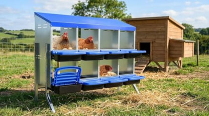 Chicken Nesting Box 8-Hole Roll Away Egg Laying Box with Lid & Stand, Galvanized Steel Rustproof Poultry Coop Box, Easy Clean, Wall Mountable No Bracket Needed for Hens, Blue - color: Blue, size: 8 holes with legs