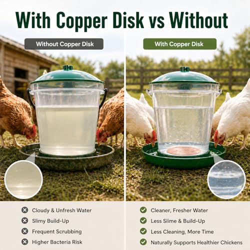 Copper Disc for Chicken Water Purification, 99.99% Pure Copper Disk, Helps Keep Water Cleaner, Fits Chicken Waterers, Chicken Water Feeders & Bird Baths