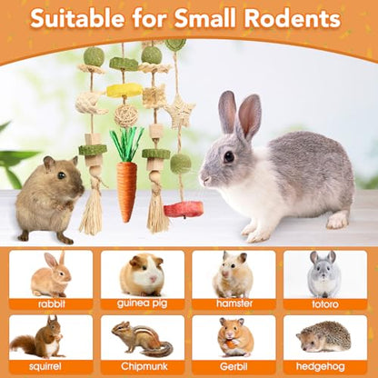 Jorewood Rabbit Chew Toys Bunny Cage Hanging Toy and Treats Rattan Ring with Snacks for Rodent Pets Teeth Healthy - size: 1 count