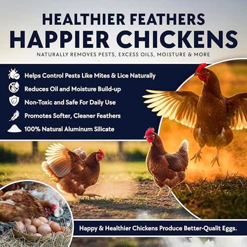 4 x 5.5lb Chickie Whiz Dust Bath, All-Natural Chickie Whiz Dust Bath Powder for Chickens for Healthier Chicken Eggs, Clean, Healthy Chickens Other Small Pet Animals by Billy Buckskin Co. - size: 4 x 5.5 LB