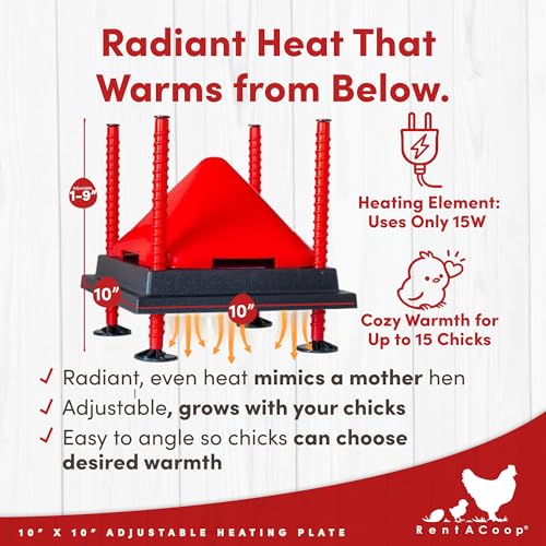 RentACoop 10x10” Heating Plate with Hard Anti-Roost Cone Set and Removable Comfort Feathers – Chick Brooder Heat Plate Warms Up to 15 Chicks – Energy Efficient - Safer Than Heat Lamps