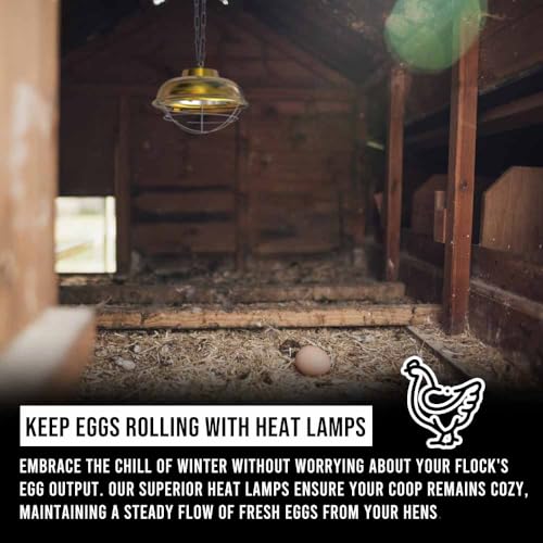 300 Watt Chicken Coop Heater, Professional Heat Lamp for Chickens, Chicks, Rabbit or Ducklings, Full Aluminum Alloy & Waterproof Heat Lamp for Chicken Coops