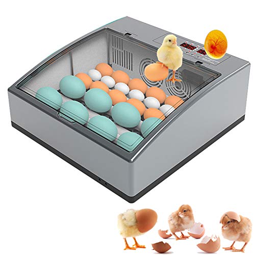 Egg Incubator with Automatic Egg Turning and Humidity Control, Incubator Small, Poultry Hatcher with Digital Display for Chickens Ducks Goose Others, Built-in Egg Candler - color: 36 Eggs Single Power Supply
